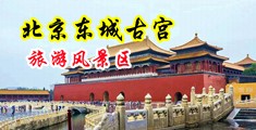 屌色中国北京-东城古宫旅游风景区